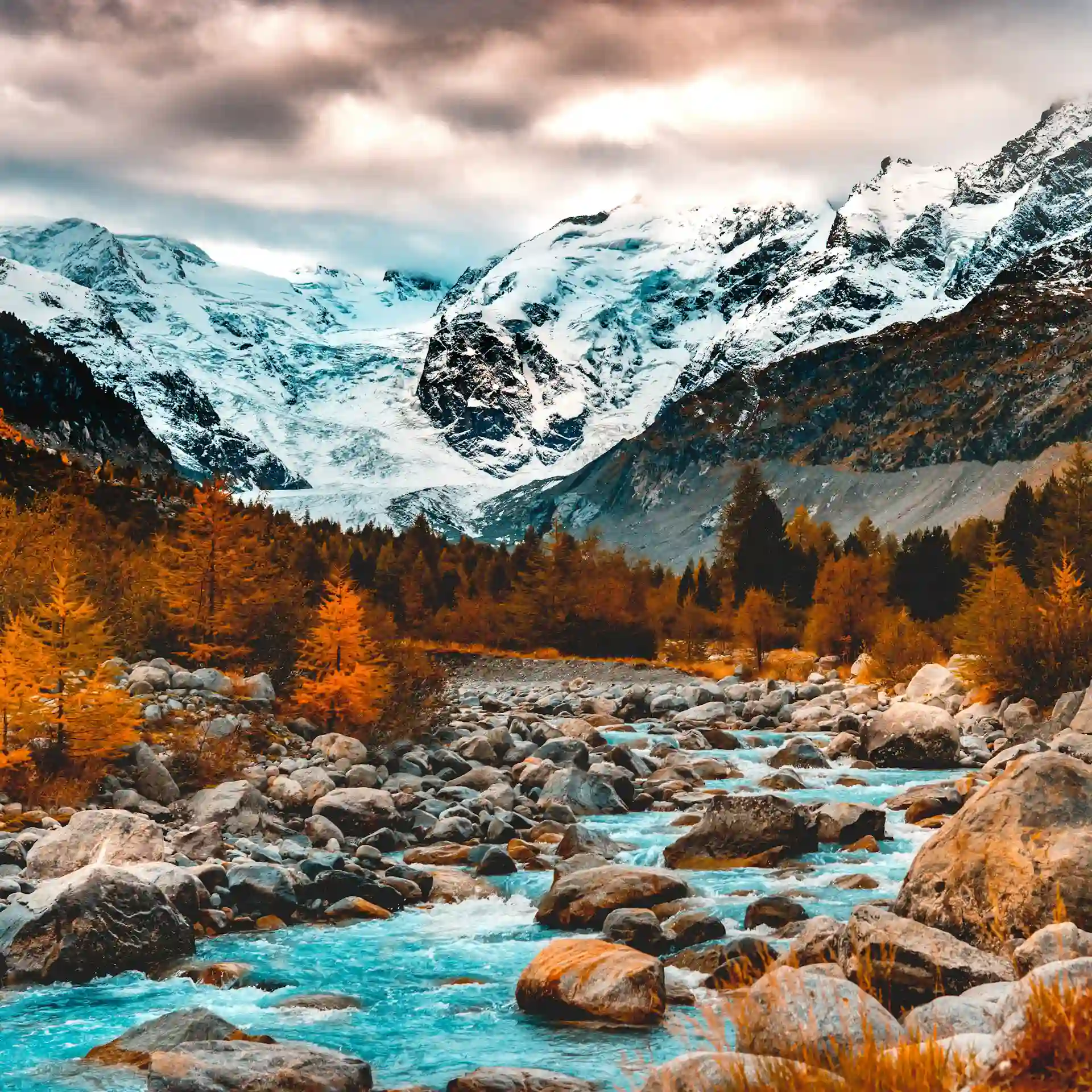 michael-grant-1U9oVRBQOnY-unsplash.webp