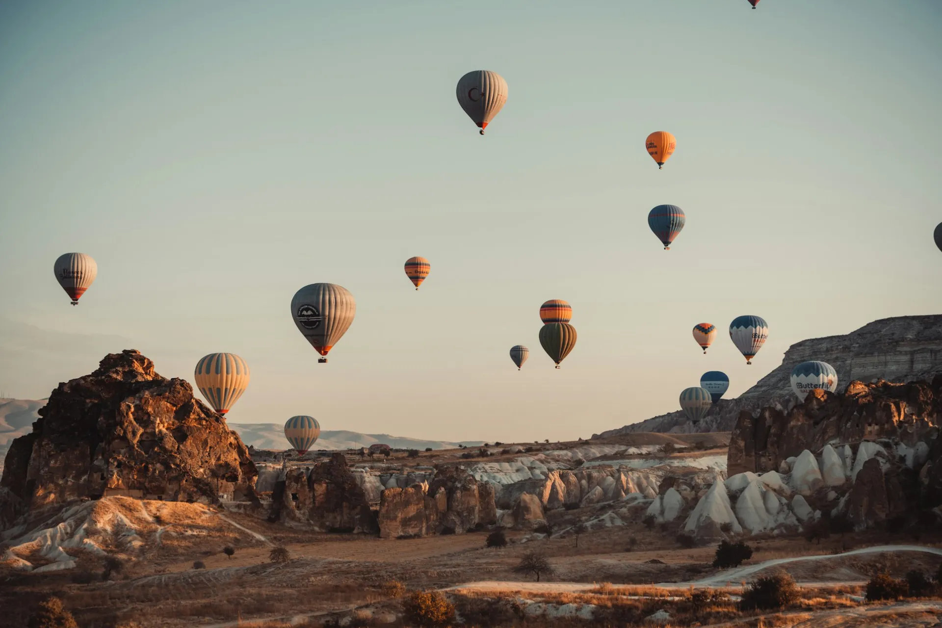 timur-garifov-vCArUMDcHCQ-unsplash.webp